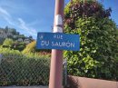 Sans son anneau
